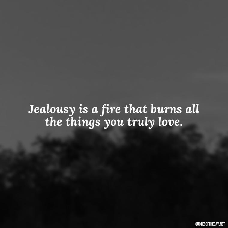 Jealousy is a fire that burns all the things you truly love. - Love Is Not Jealous Bible Quote