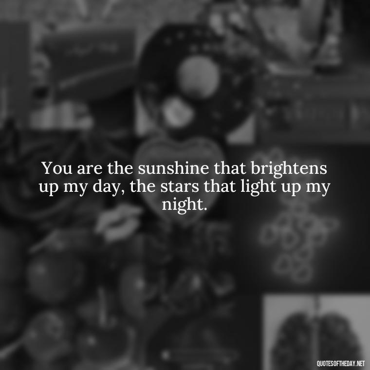 You are the sunshine that brightens up my day, the stars that light up my night. - Love For My Man Quotes