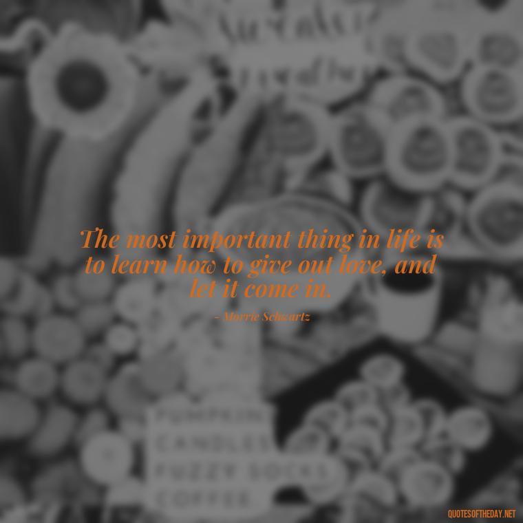 The most important thing in life is to learn how to give out love, and let it come in. - Lie In Love Quotes