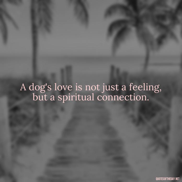 A dog's love is not just a feeling, but a spiritual connection. - Dogs Love Unconditionally Quotes