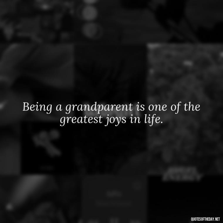 Being a grandparent is one of the greatest joys in life. - Granddaughter Quotes Short