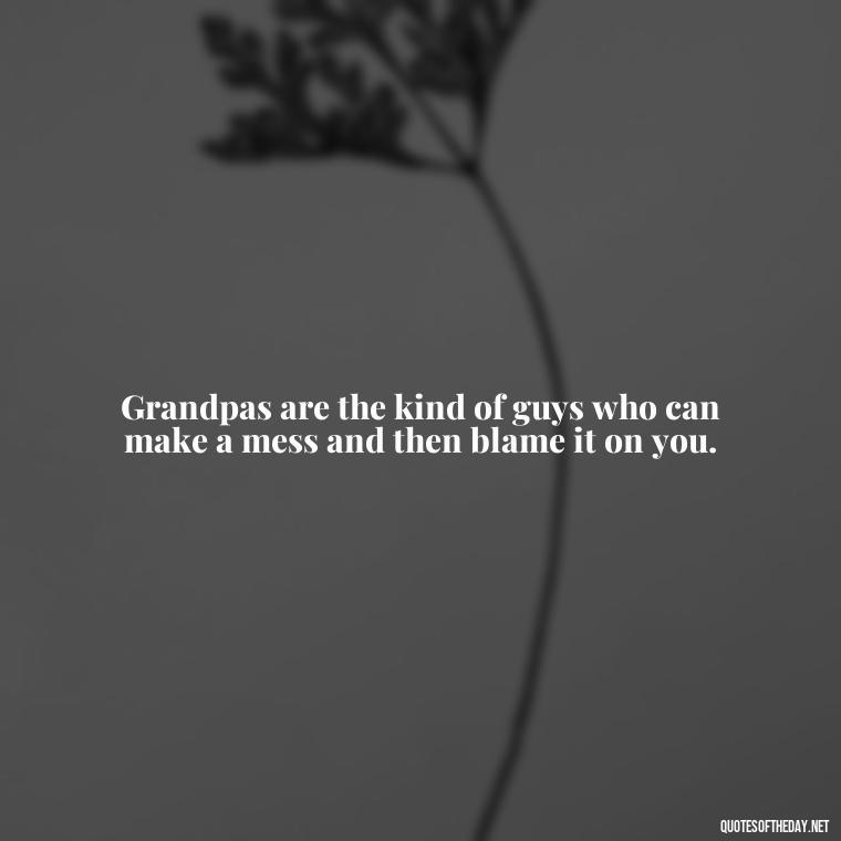 Grandpas are the kind of guys who can make a mess and then blame it on you. - I Love You Grandpa Quotes