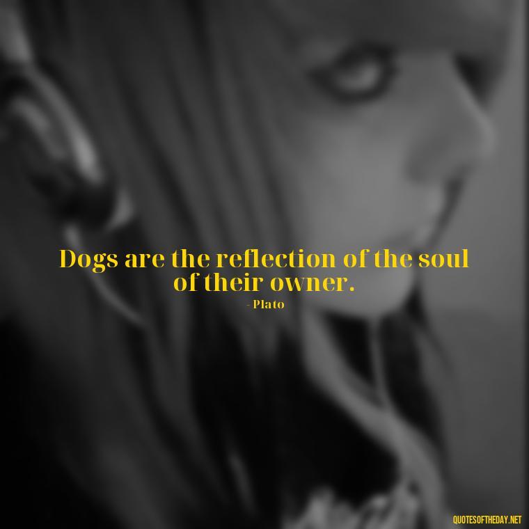 Dogs are the reflection of the soul of their owner. - A Dogs Love Quote