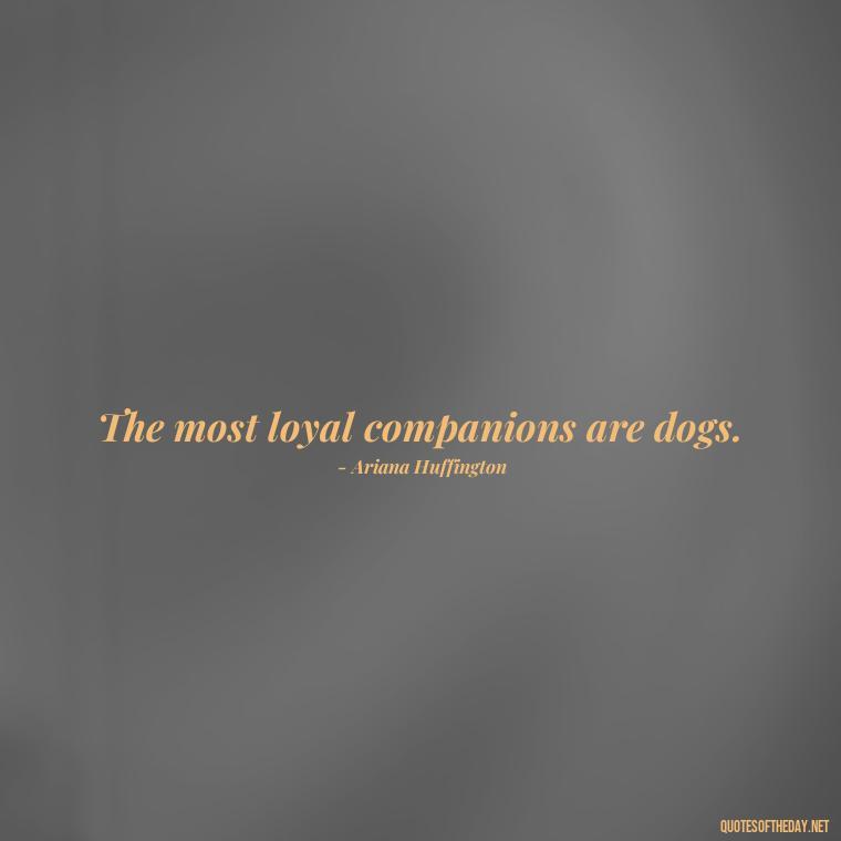 The most loyal companions are dogs. - Quote About Dogs Love