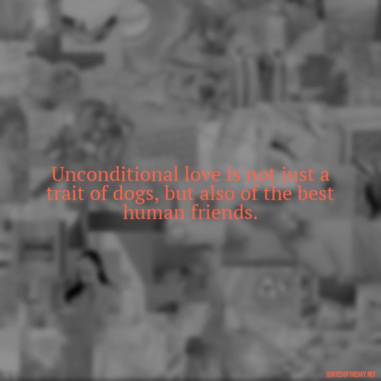 Unconditional love is not just a trait of dogs, but also of the best human friends. - Dogs Love Unconditionally Quotes