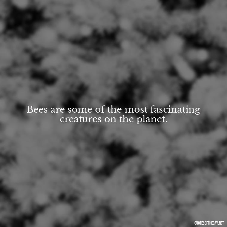 Bees are some of the most fascinating creatures on the planet. - Bee Quotes Short