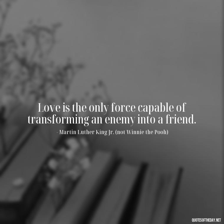 Love is the only force capable of transforming an enemy into a friend. - Love Quotes From Winnie The Pooh