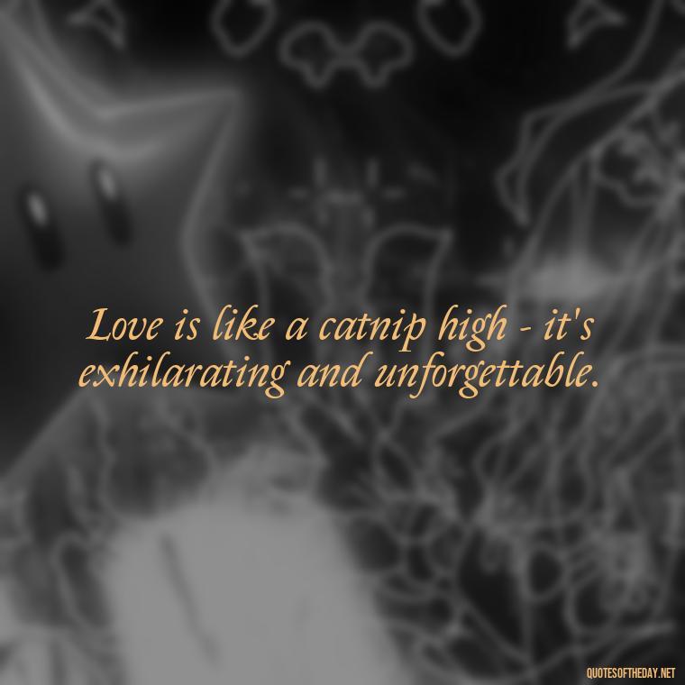 Love is like a catnip high - it's exhilarating and unforgettable. - Love Quotes About Cats