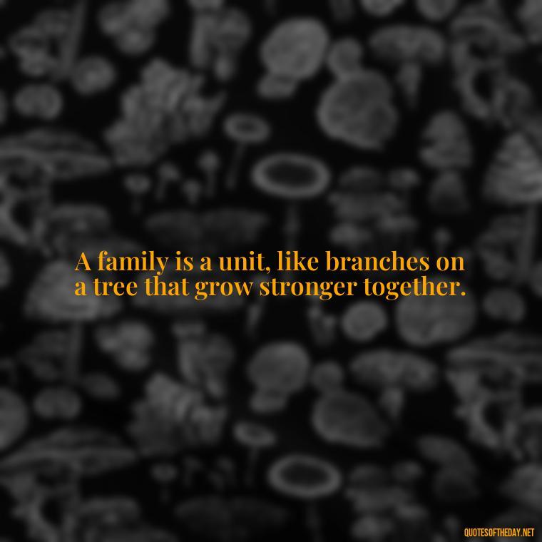 A family is a unit, like branches on a tree that grow stronger together. - I Love You Family Quotes