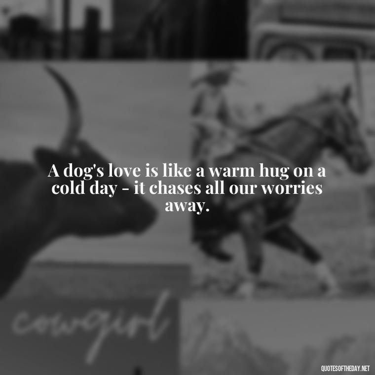 A dog's love is like a warm hug on a cold day - it chases all our worries away. - Dog Love Quotes For Instagram