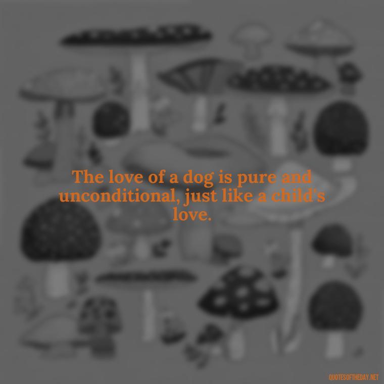 The love of a dog is pure and unconditional, just like a child's love. - Dogs Love Unconditionally Quotes