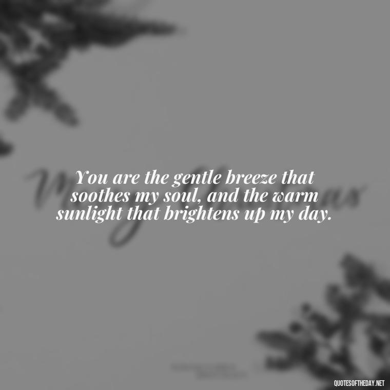 You are the gentle breeze that soothes my soul, and the warm sunlight that brightens up my day. - My Love Towards You Quotes