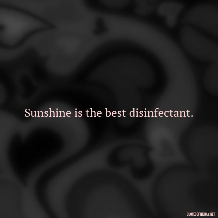 Sunshine is the best disinfectant. - Love The Sunshine Quotes