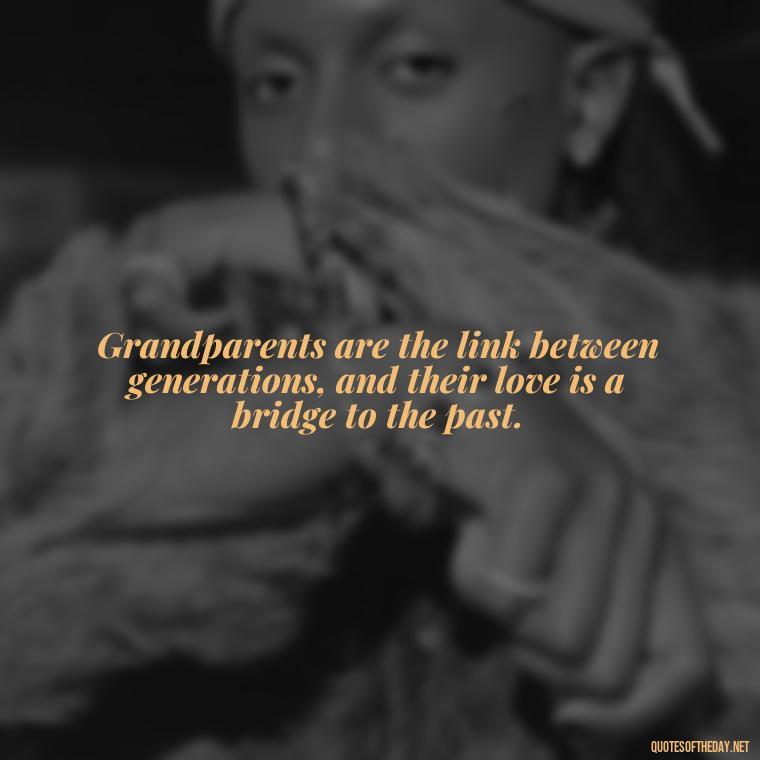 Grandparents are the link between generations, and their love is a bridge to the past. - Quotes About A Grandparents Love