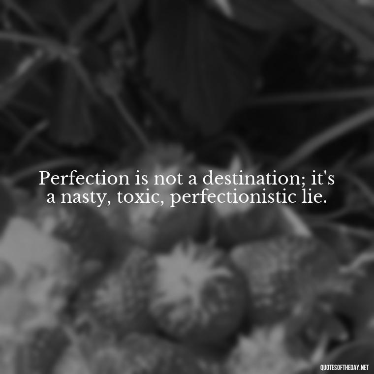 Perfection is not a destination; it's a nasty, toxic, perfectionistic lie. - Love The Imperfections Quotes