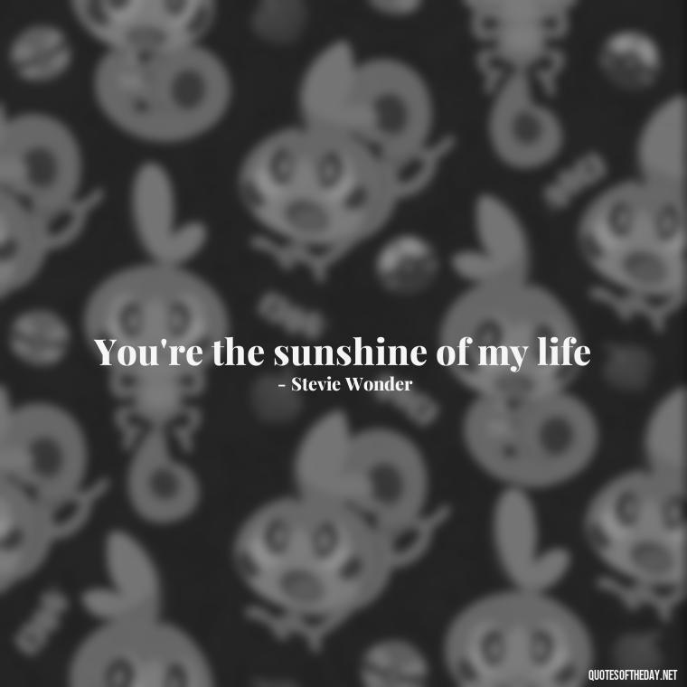 You're the sunshine of my life - Famous Love Song Quotes