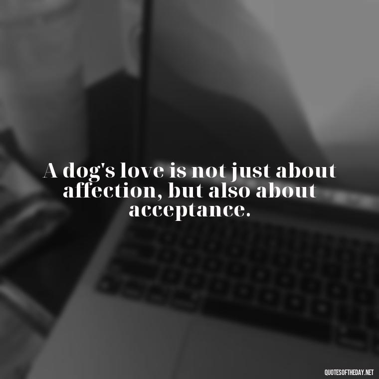 A dog's love is not just about affection, but also about acceptance. - A Dogs Love Quote