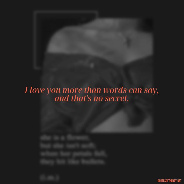 I love you more than words can say, and that's no secret. - I Love You Quotes For Brother