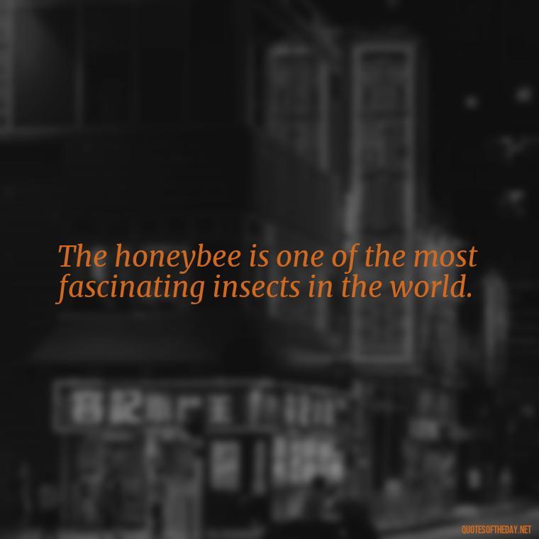 The honeybee is one of the most fascinating insects in the world. - Bee Quotes Short