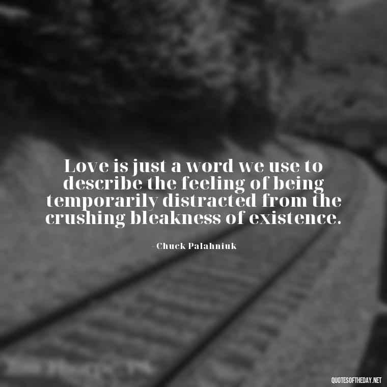 Love is just a word we use to describe the feeling of being temporarily distracted from the crushing bleakness of existence. - Illusion Love Quotes