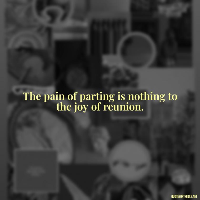 The pain of parting is nothing to the joy of reunion. - I Miss My Love Quotes