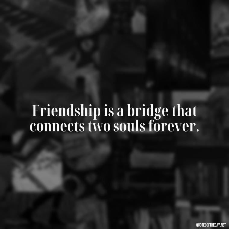 Friendship is a bridge that connects two souls forever. - Friends Family Love Quotes