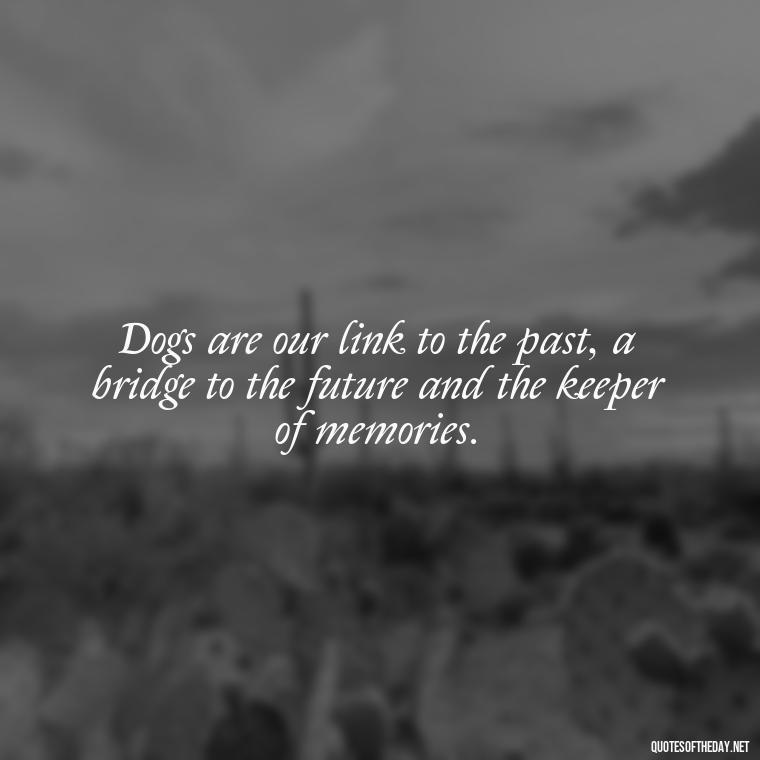 Dogs are our link to the past, a bridge to the future and the keeper of memories. - Love For My Dog Quotes