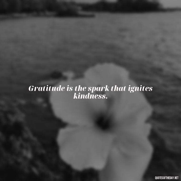 Gratitude is the spark that ignites kindness. - Short Quotes Of Thanks