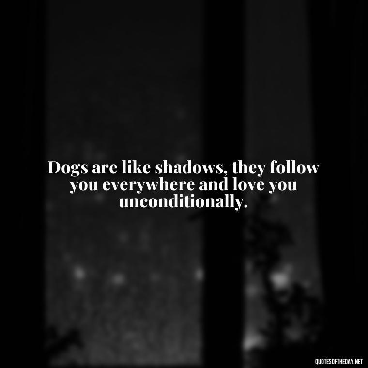 Dogs are like shadows, they follow you everywhere and love you unconditionally. - A Dogs Love Quote