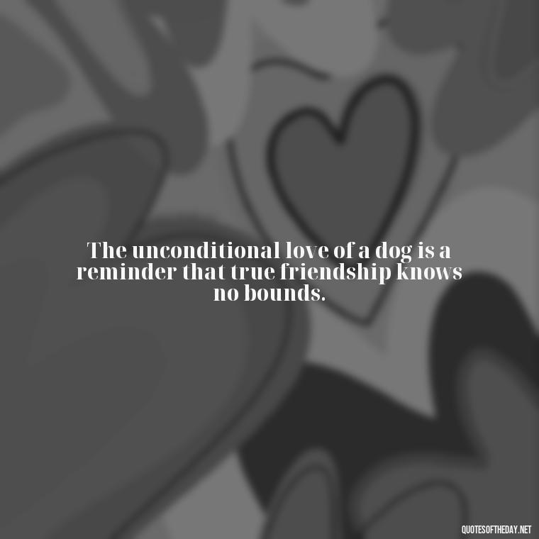 The unconditional love of a dog is a reminder that true friendship knows no bounds. - Dogs Love Unconditionally Quotes