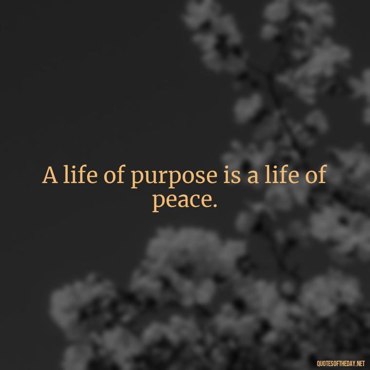 A life of purpose is a life of peace. - Short Blessed Quotes