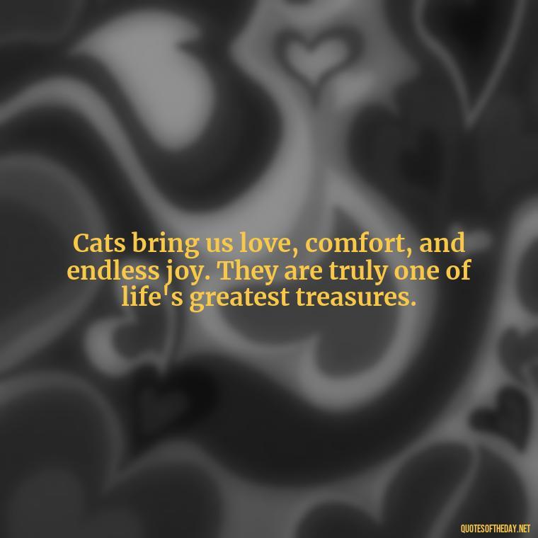 Cats bring us love, comfort, and endless joy. They are truly one of life's greatest treasures. - Love Quotes About Cats