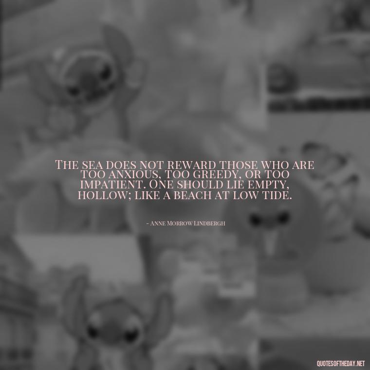 The sea does not reward those who are too anxious, too greedy, or too impatient. One should lie empty, hollow; like a beach at low tide. - Quotes About Love And Water