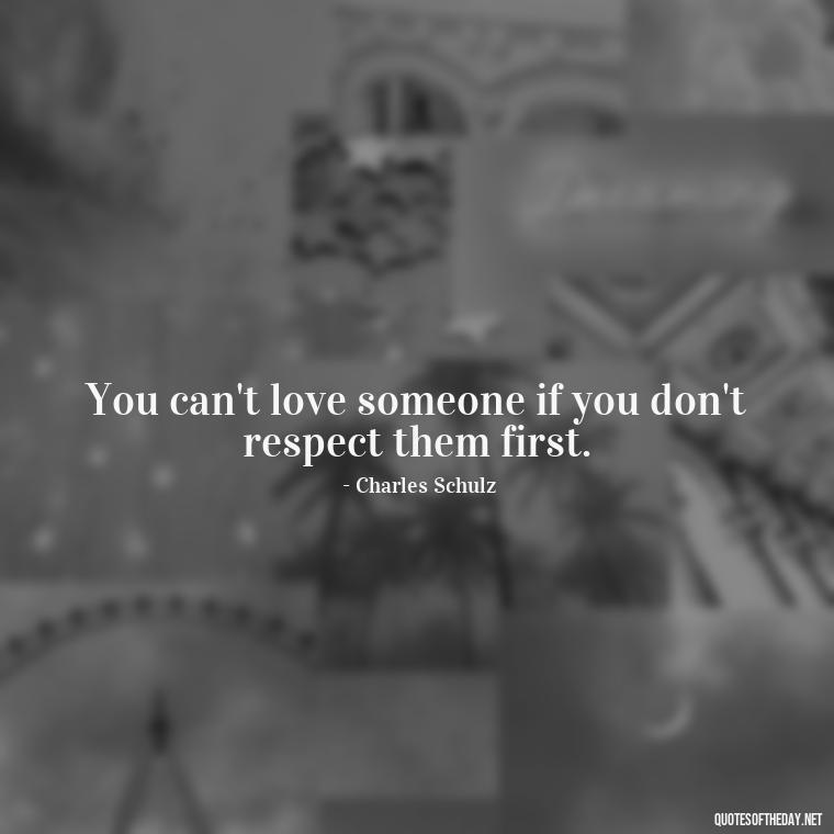 You can't love someone if you don't respect them first. - Love Quotes Little Prince