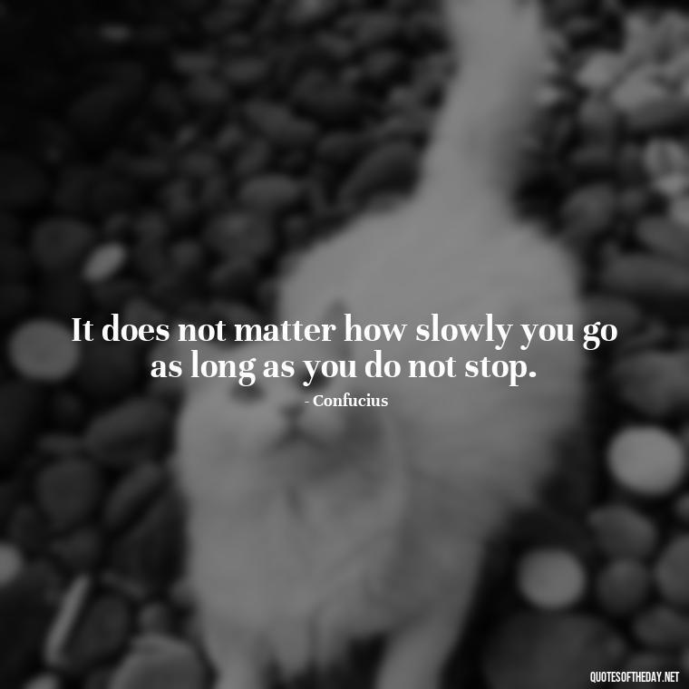 It does not matter how slowly you go as long as you do not stop. - Short Real Quotes