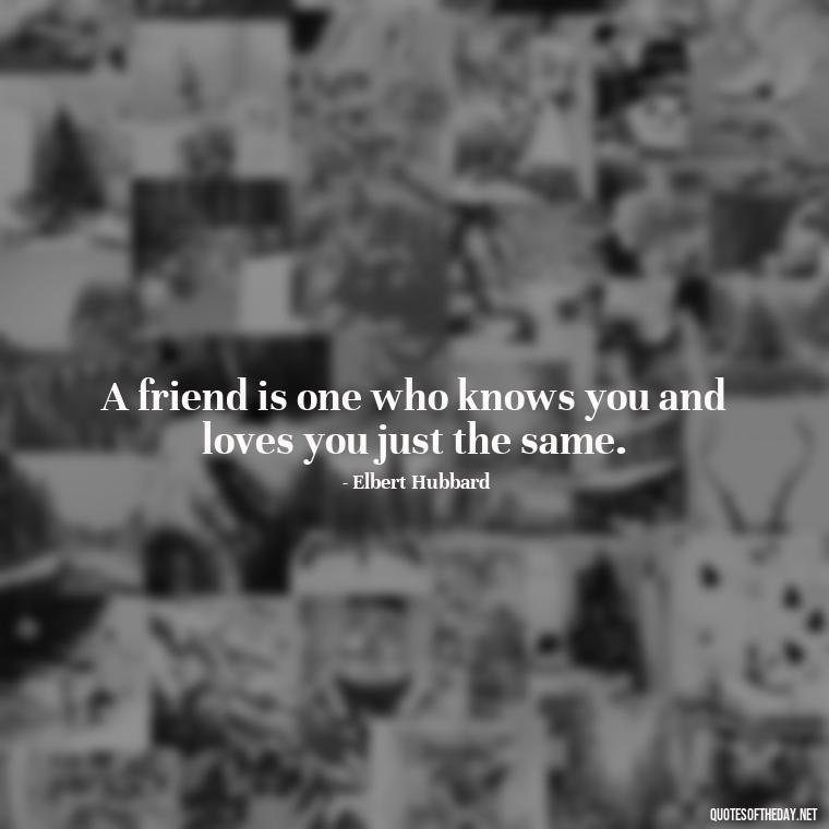 A friend is one who knows you and loves you just the same. - Love Quotes For Your Friend