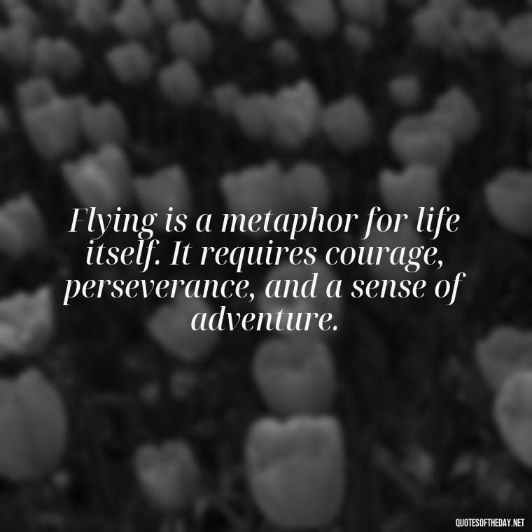 Flying is a metaphor for life itself. It requires courage, perseverance, and a sense of adventure. - Short Quotes About Flying