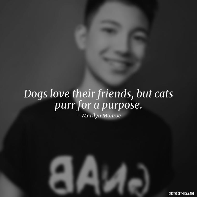 Dogs love their friends, but cats purr for a purpose. - Love Quotes About Cats