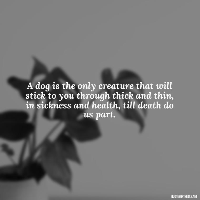 A dog is the only creature that will stick to you through thick and thin, in sickness and health, till death do us part. - Quote About Dogs Love