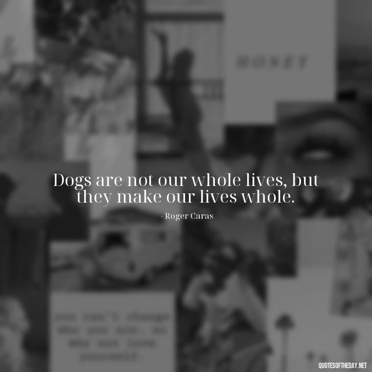 Dogs are not our whole lives, but they make our lives whole. - Dog Love Quotes For Instagram