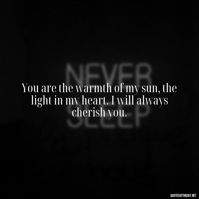 You are the warmth of my sun, the light in my heart. I will always cherish you. - Love Quotes About The Sun