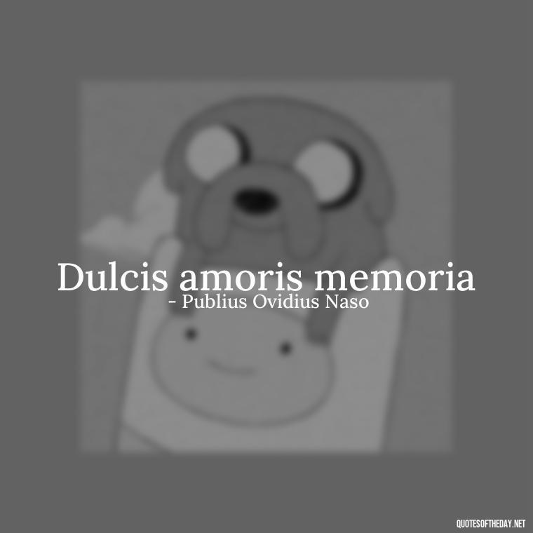 Dulcis amoris memoria - Quotes In Latin About Love