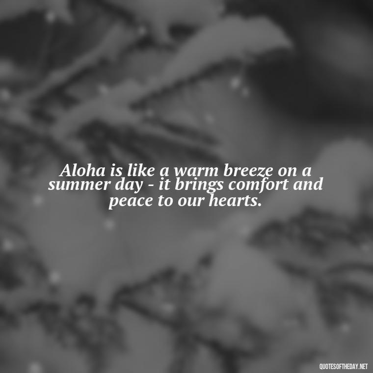 Aloha is like a warm breeze on a summer day - it brings comfort and peace to our hearts. - Hawaiian Quotes About Love