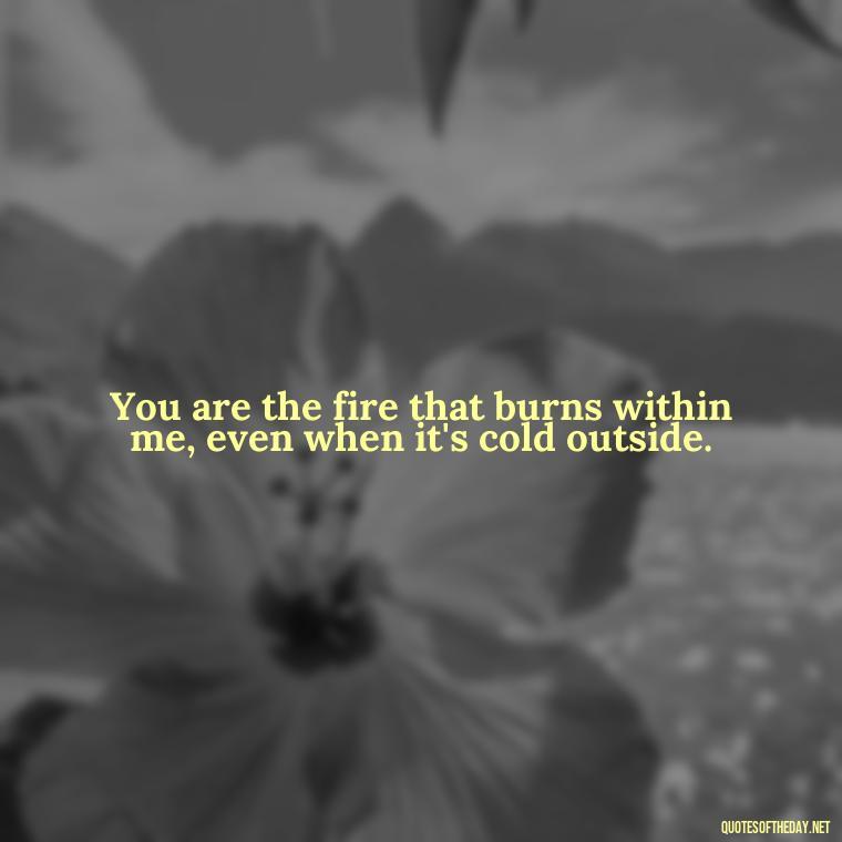 You are the fire that burns within me, even when it's cold outside. - I Hate That I Love You Quotes