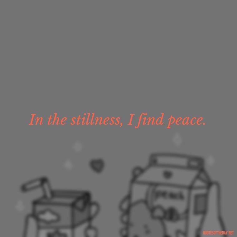 In the stillness, I find peace. - Short Quotes Peace