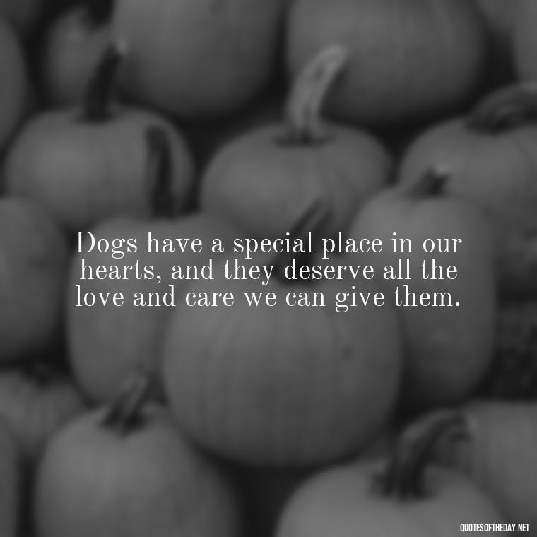 Dogs have a special place in our hearts, and they deserve all the love and care we can give them. - Dog Love Quotes For Instagram