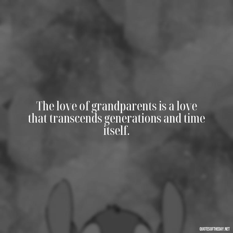 The love of grandparents is a love that transcends generations and time itself. - Quotes About A Grandparents Love