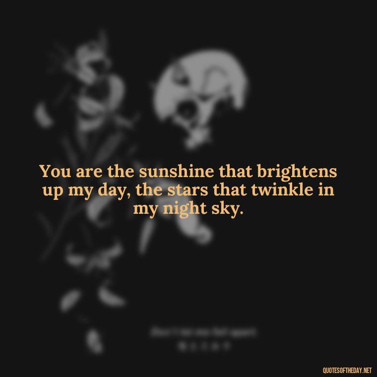 You are the sunshine that brightens up my day, the stars that twinkle in my night sky. - Love Quotes About The Sun