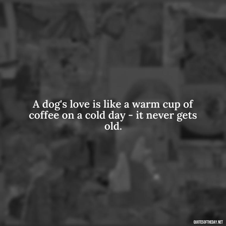 A dog's love is like a warm cup of coffee on a cold day - it never gets old. - A Dogs Love Quote