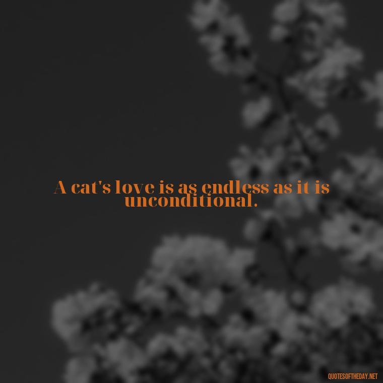 A cat's love is as endless as it is unconditional. - Love Quotes About Cats